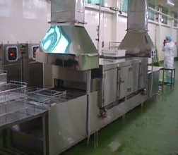 Conveyor (furnace for vegetable processing)